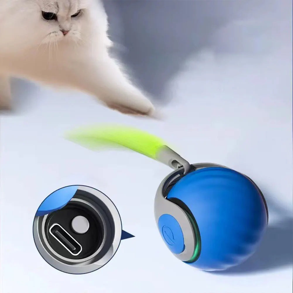 🐱 Katzes Beuteball