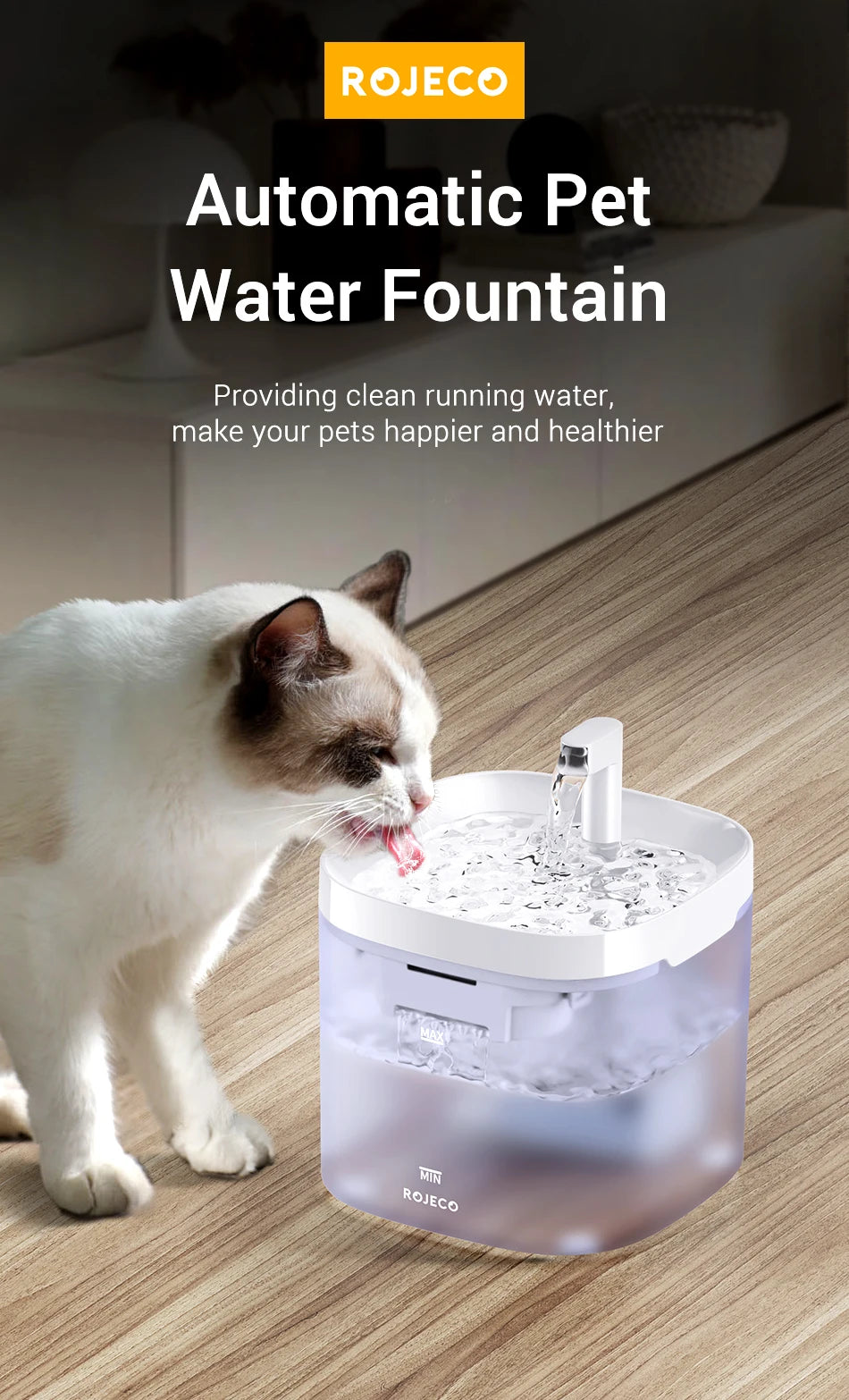 🐈💦  AquaFlow Haustier Fountain 💦🐕