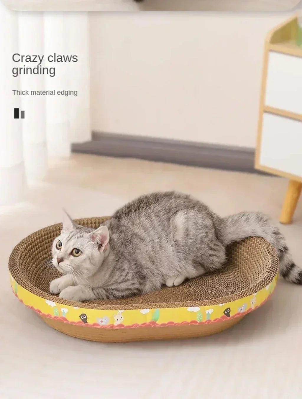 😺 Katzipad