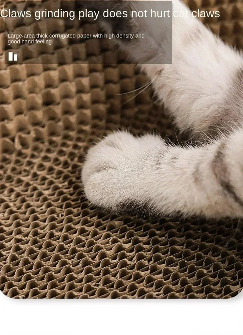 😺 Katzipad