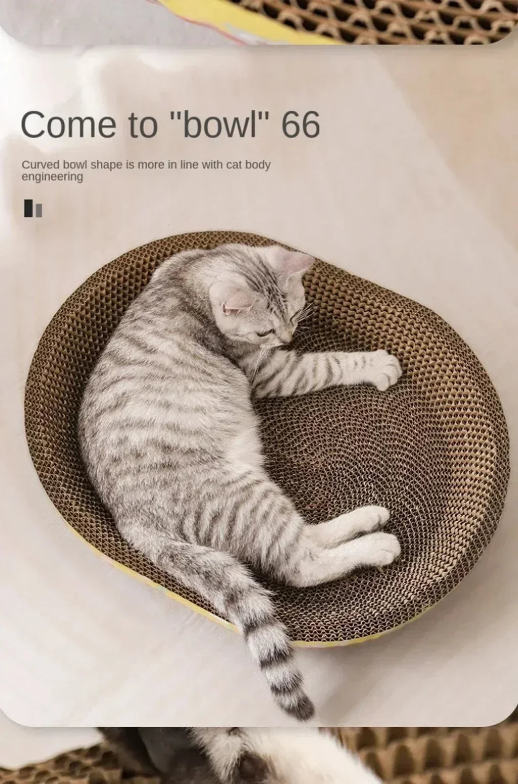 😺 Katzipad