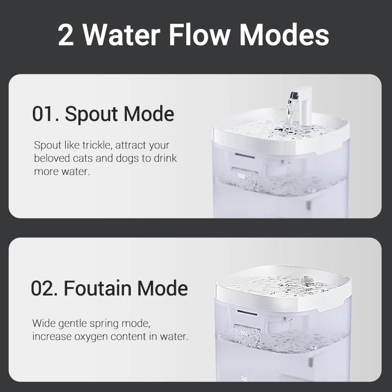🐈💦  AquaFlow Haustier Fountain 💦🐕