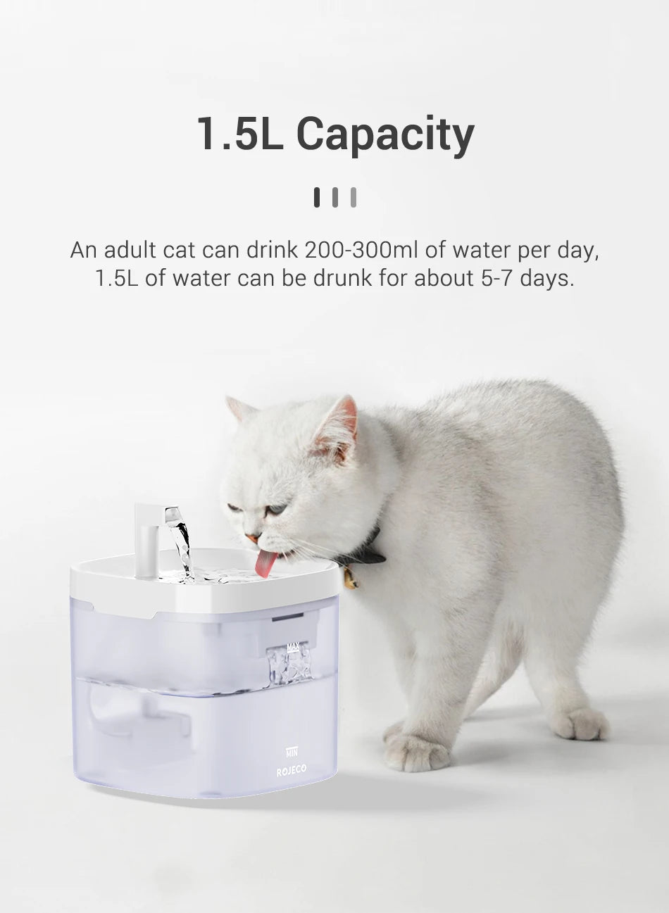 🐈💦  AquaFlow Haustier Fountain 💦🐕