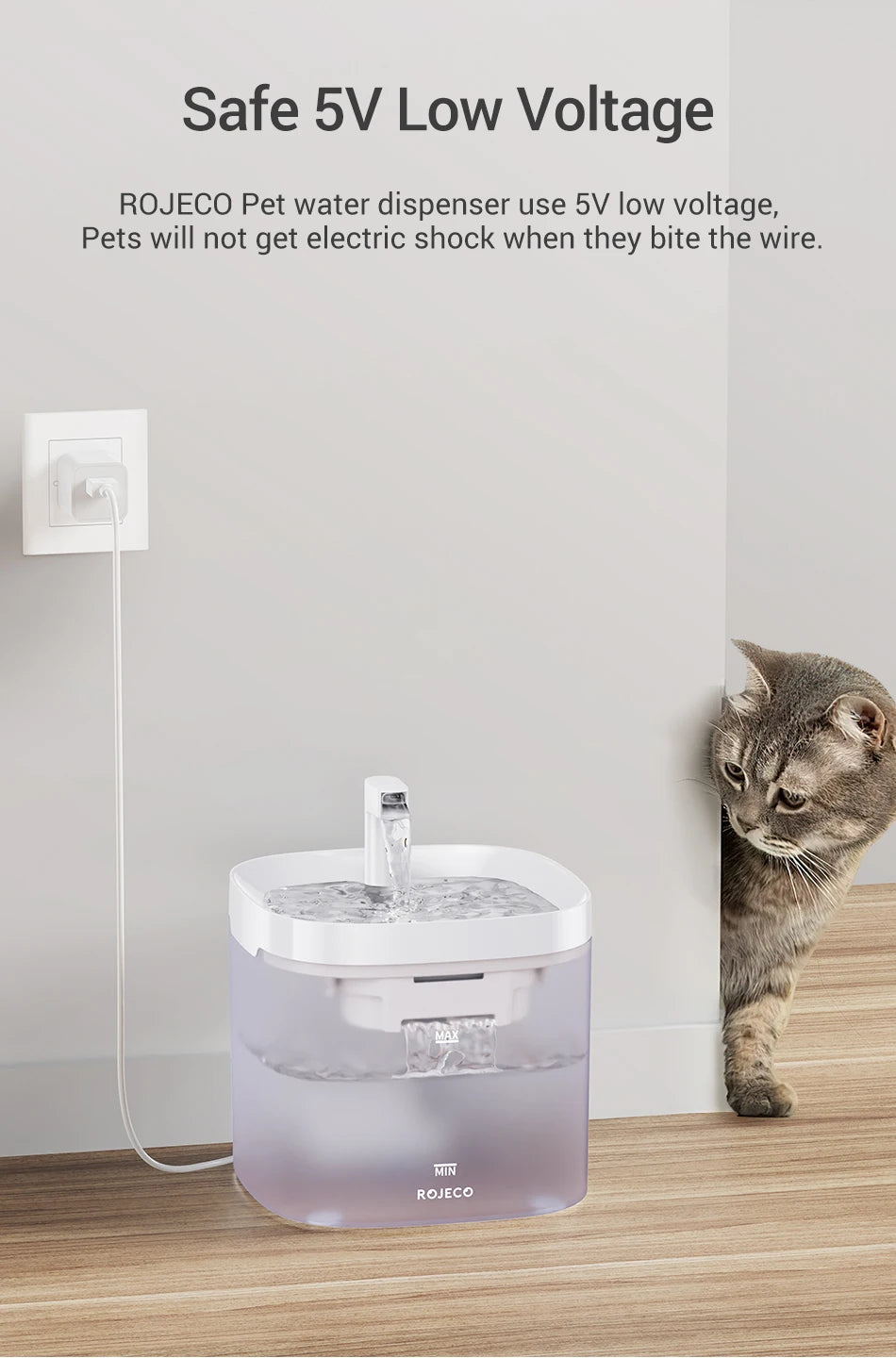 🐈💦  AquaFlow Haustier Fountain 💦🐕