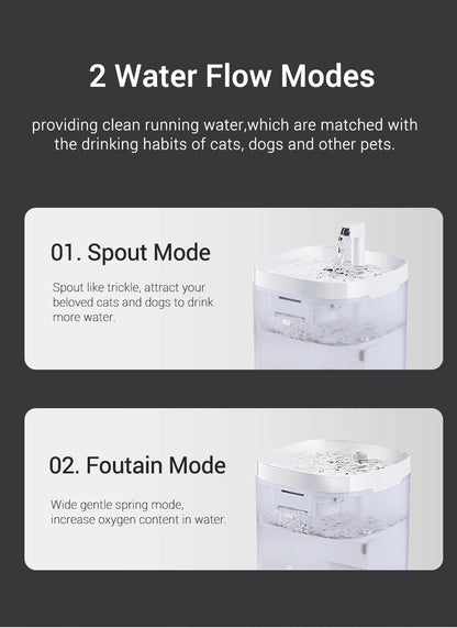 🐈💦  AquaFlow Haustier Fountain 💦🐕