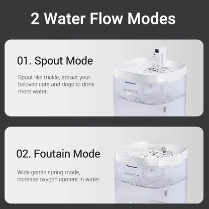 🐈💦  AquaFlow Haustier Fountain 💦🐕