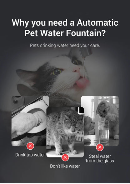 🐈💦  AquaFlow Haustier Fountain 💦🐕