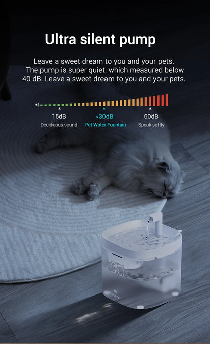🐈💦  AquaFlow Haustier Fountain 💦🐕