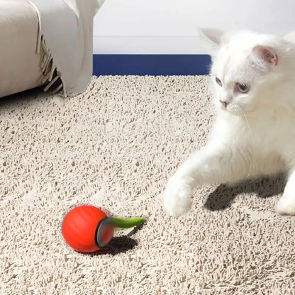 🐱 Katzes Beuteball